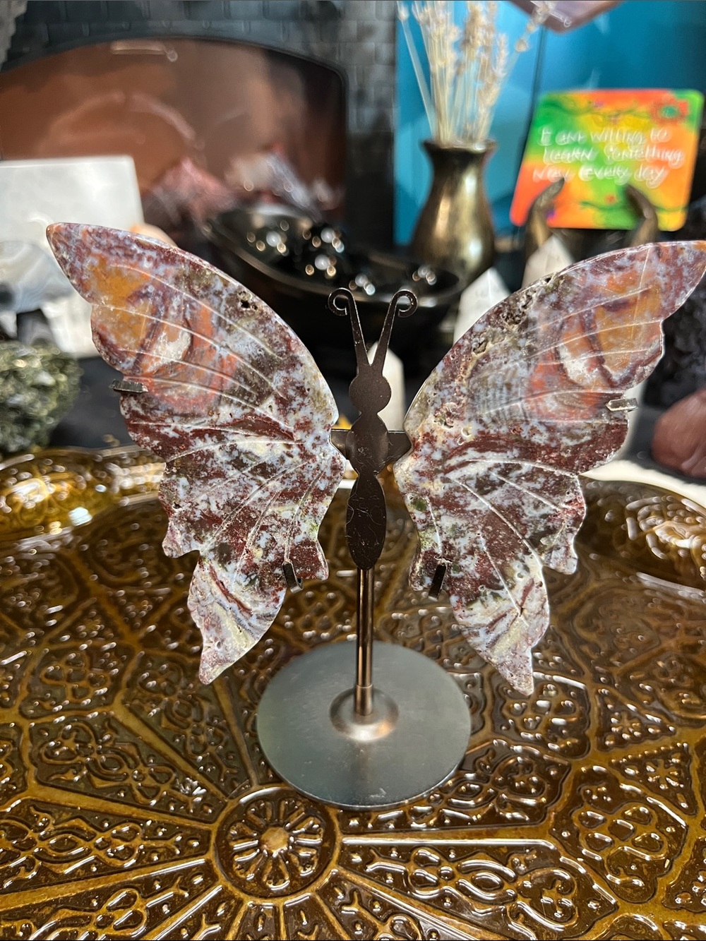 Ocean jasper butterfly wings